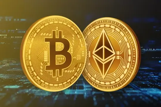 Bitcoin and Ether Treasuries Have “Vanished” Since the Crypto Market Crash